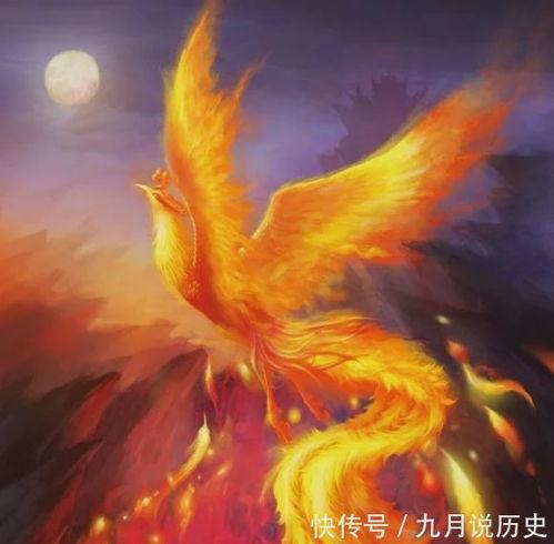 迎亲之辱凤凰涅槃,凤凰涅槃,浴火重生 第2张 迎亲之辱凤凰涅槃,凤凰涅槃,浴火重生 第2张