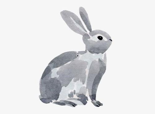 好心肠动物,传递爱与关怀的动人瞬间 第2张 好心肠动物,传递爱与关怀的动人瞬间 第2张